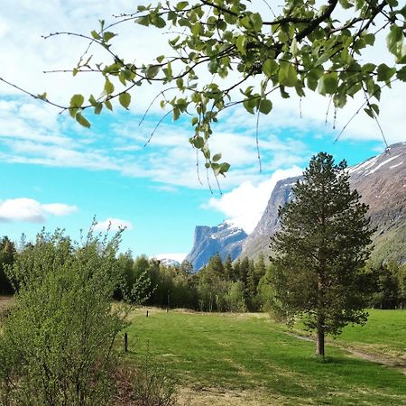 Torfoss Gard, Hytte Utleie, Campingvogn Og Bobil Plasser Potka Ngoại thất bức ảnh