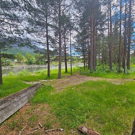 Torfoss Gard, Hytte Utleie, Campingvogn Og Bobil Plasser Potka Ngoại thất bức ảnh