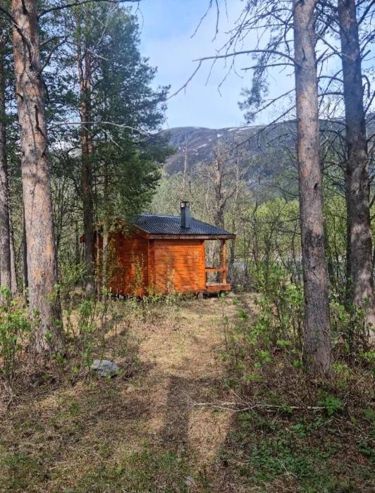 Torfoss Gard, Hytte Utleie, Campingvogn Og Bobil Plasser Potka Ngoại thất bức ảnh