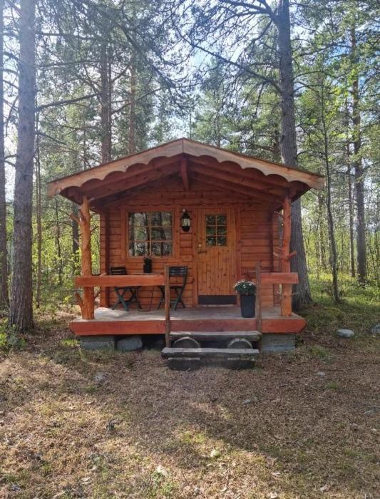 Torfoss Gard, Hytte Utleie, Campingvogn Og Bobil Plasser Potka Ngoại thất bức ảnh