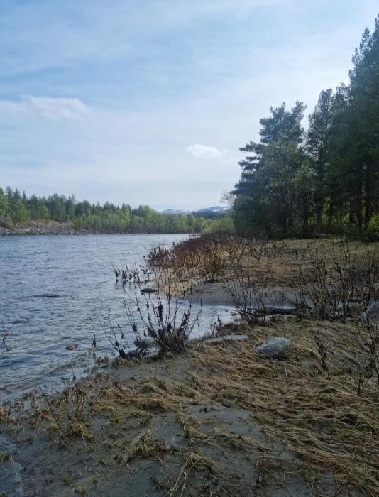 Torfoss Gard, Hytte Utleie, Campingvogn Og Bobil Plasser Potka Ngoại thất bức ảnh