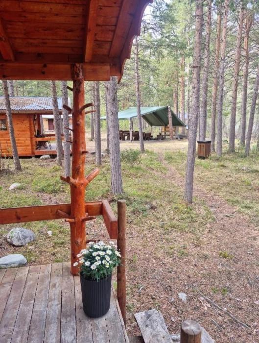 Torfoss Gard, Hytte Utleie, Campingvogn Og Bobil Plasser Potka Ngoại thất bức ảnh