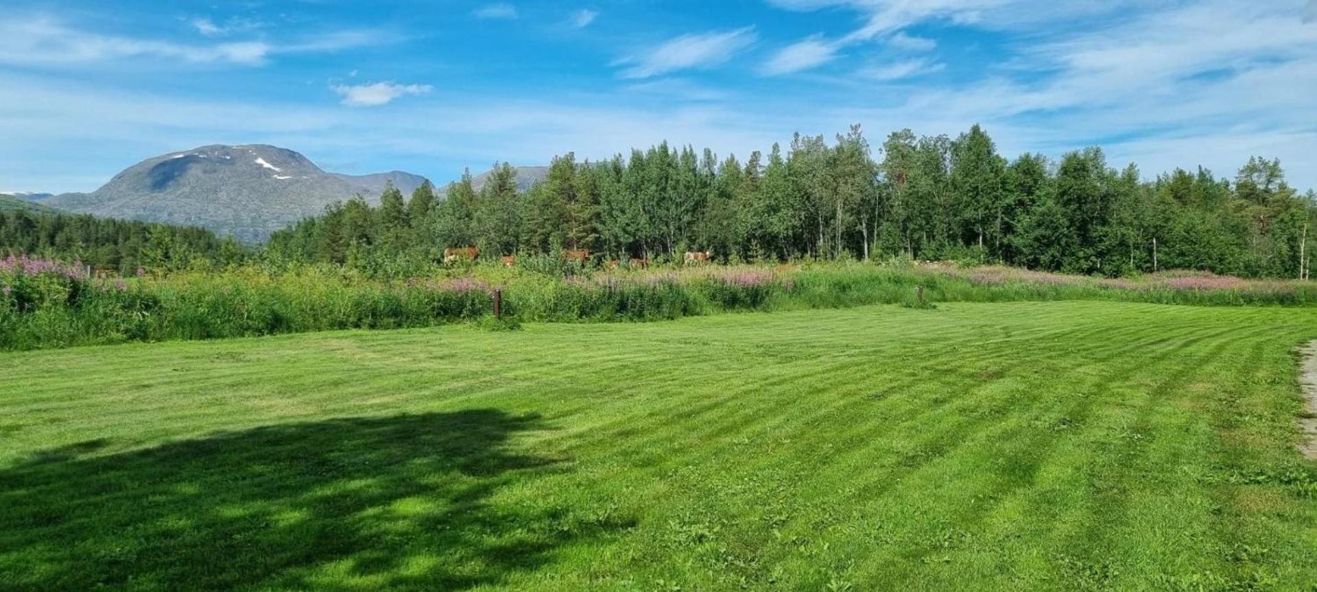Torfoss Gard, Hytte Utleie, Campingvogn Og Bobil Plasser Potka Ngoại thất bức ảnh