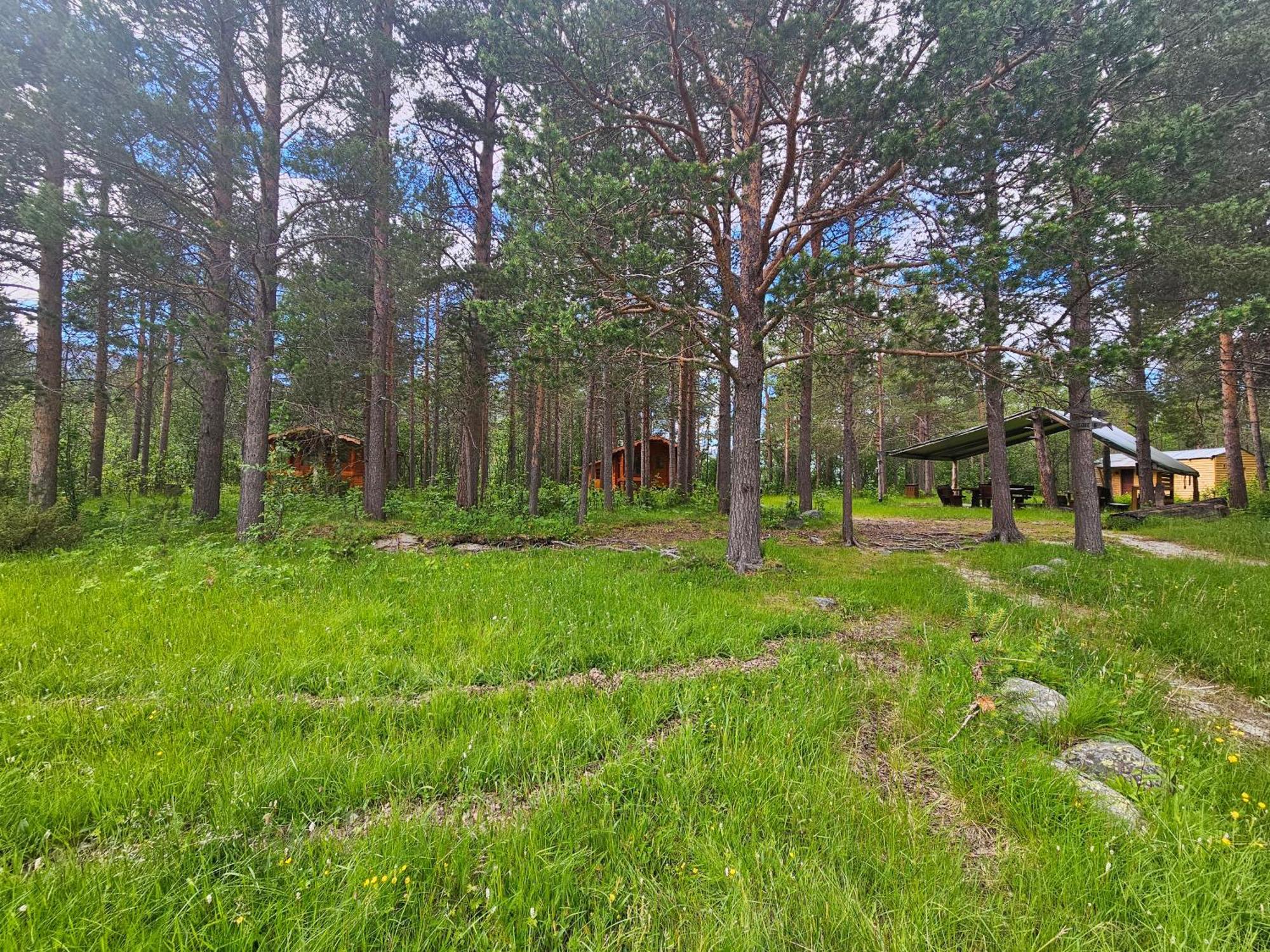 Torfoss Gard, Hytte Utleie, Campingvogn Og Bobil Plasser Potka Ngoại thất bức ảnh